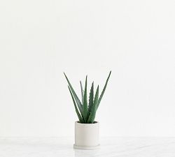 Faux Potted Double Spike Aloe Succulent