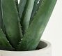 Faux Potted Double Spike Aloe Succulent