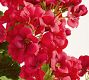 Faux Red Geranium Bundle