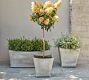 Estate Planter