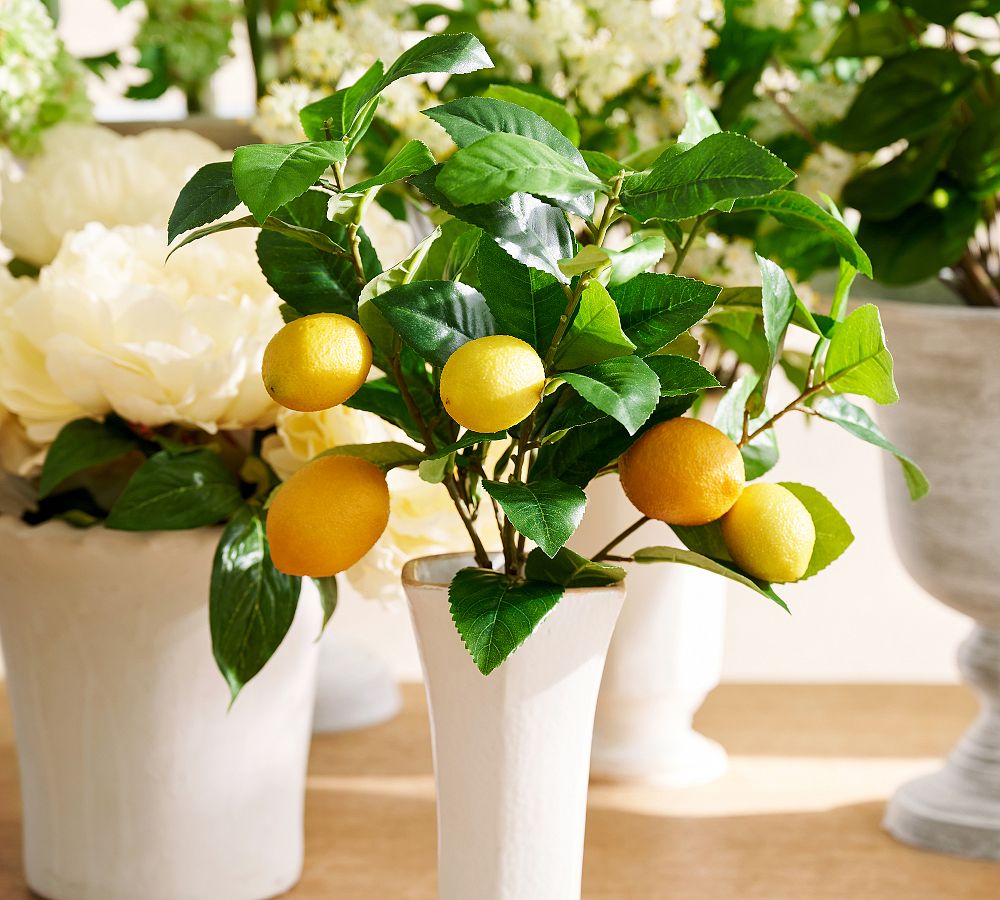 Faux Lemon Bundle