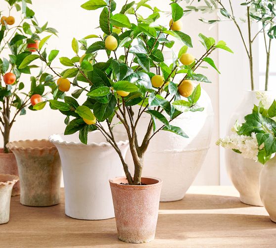 Faux Potted Lemon Topiary