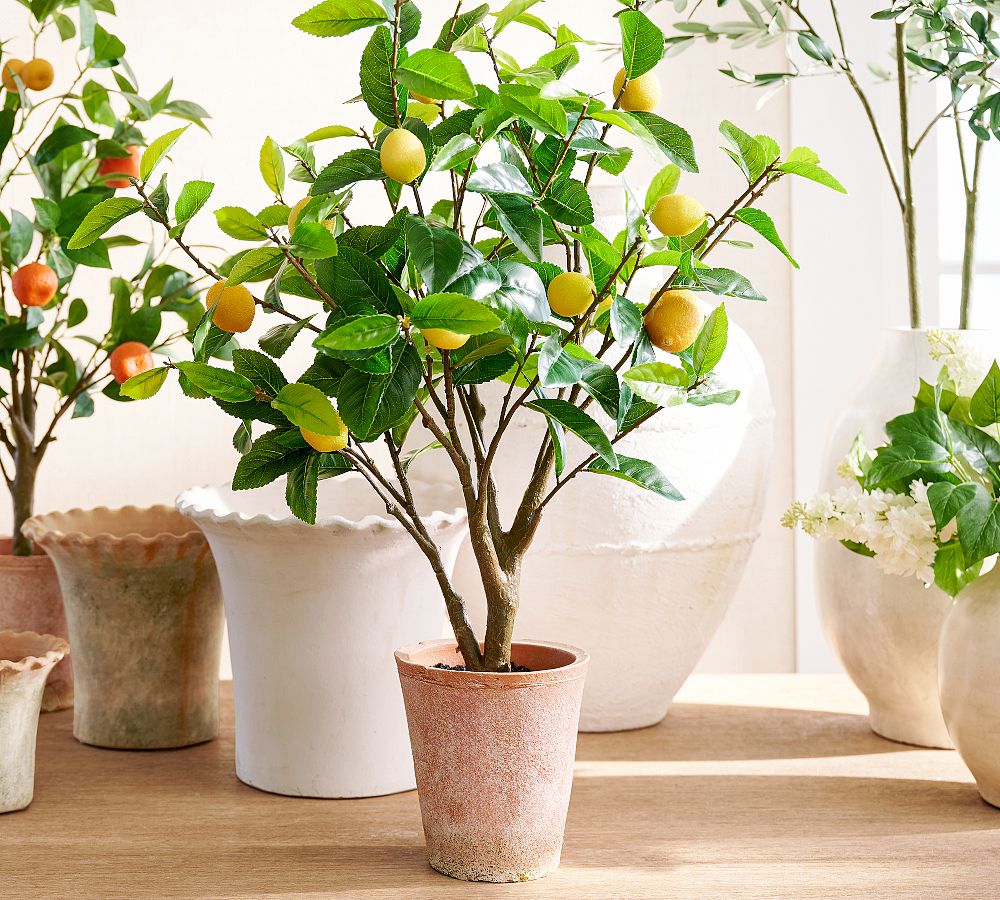 Faux Potted Lemon Topiary