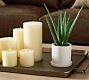 Faux Potted Double Spike Aloe Succulent