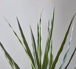 Faux Potted Triple Trunk Dracaena Houseplants