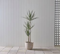 Faux Potted Triple Trunk Dracaena Houseplants