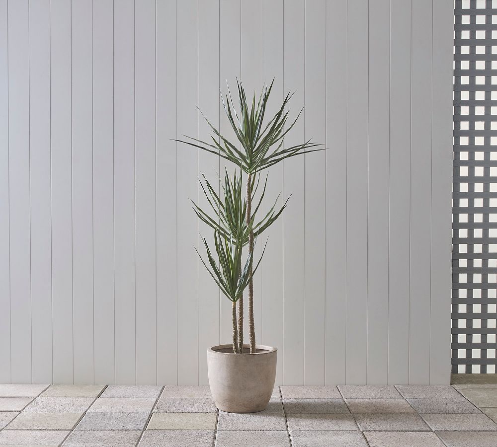 Faux Potted Triple Trunk Dracaena Houseplants