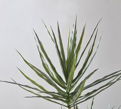 Faux Potted Triple Trunk Dracaena Houseplants