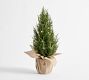 Faux Lit Topiary Pine Tree