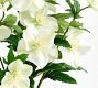 Faux Potted Hellebore