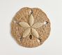 Woven Sand Dollar Wall Art