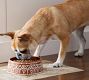 Gingerbread Pet Bowl