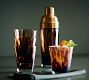 Tortoise Glass Cocktail Shaker