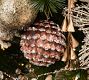 Glitter Pinecone Sphere Ornament