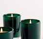 Winter Spruce Scent Collection