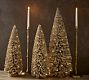 Lit Bottlebrush Trees