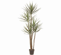 Faux Potted Triple Trunk Dracaena Houseplants