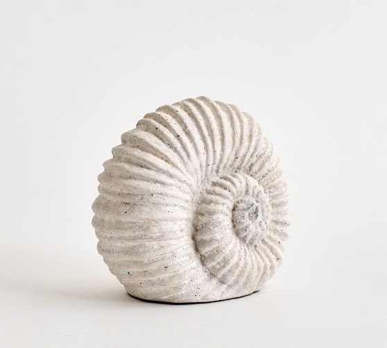 Decorative Spiral Shell