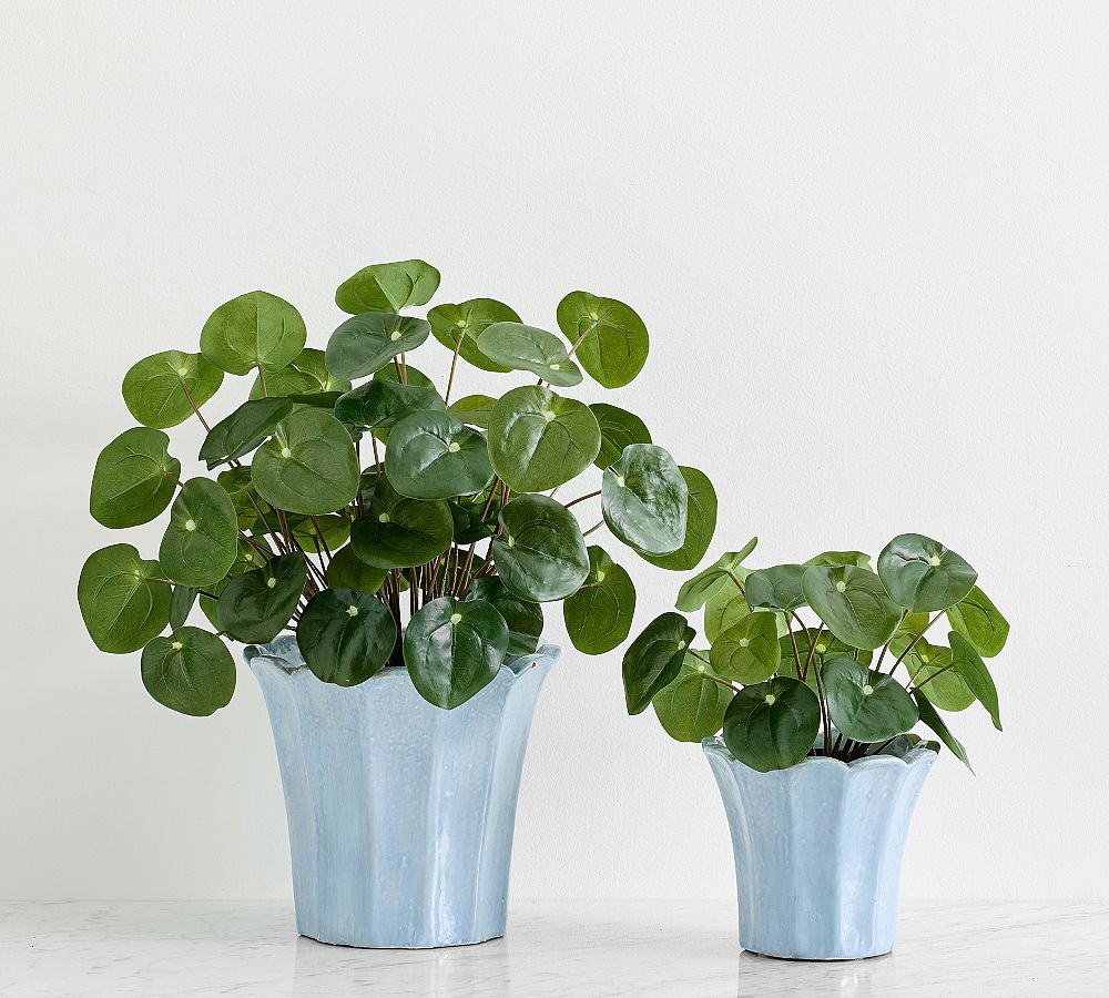 Faux Elephant Ear Plant