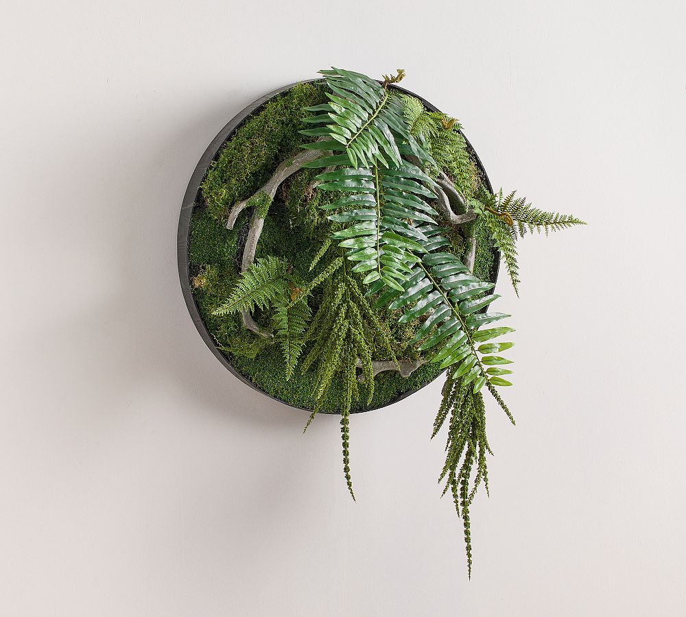 Moss And Ferns Mixed Wall Art