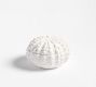 Coral Lidded Catchall Box