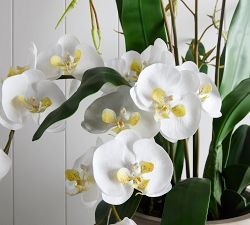 Handcrafted Faux Mixed White Orchid Arrangement in Cement Planter