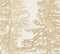 Ivory/Gold