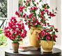 Faux Potted Bougainvillea