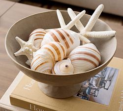 Mixed Shell Vase Filler