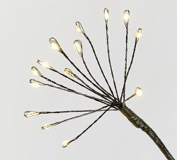 Twinkling Twig Orb