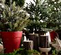 Faux Lit Cedar Berry Pine Tree