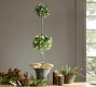 Faux Lit Juniper Topiary