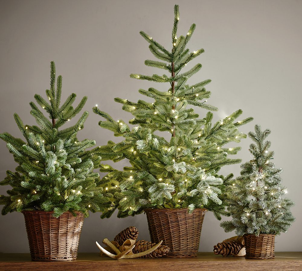 Faux Lit Blue Spruce Tree