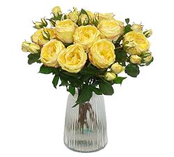 Faux English Charlotte Rose Dozen Stems