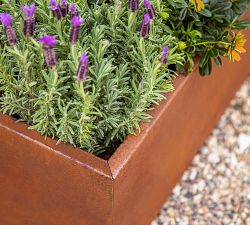 Garden Bed - Corten Steel