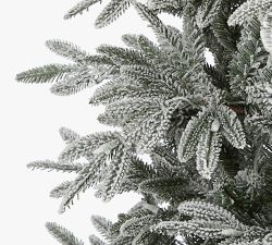 Faux Lit Flocked Manchester Spruce