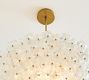 Nicolette Glass Floral Round Chandelier (26&quot;)