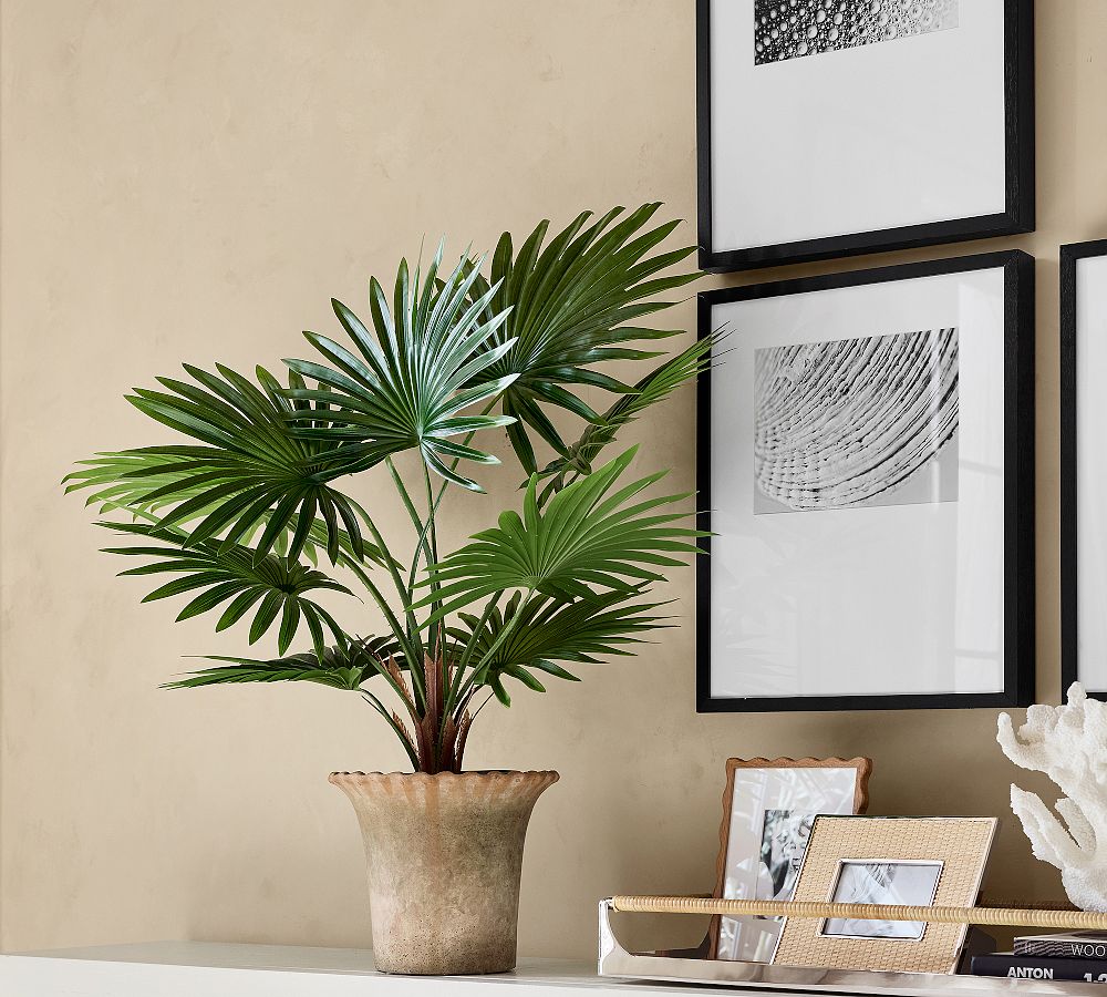 Faux Potted Fan Palm