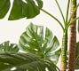 Faux Monstera Tree - 7.25'