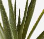 Faux Speckled Aloe Vera Plant In Terracotta Pot