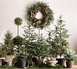 Faux Lit Aspen Wreath &amp; Garland