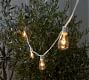 Edison Bulb Outdoor String Lights