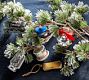 The Polar Express&#8482; Ornament Box - Set of 6