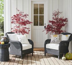 Palmetto Wicker Outdoor Lounge Chair