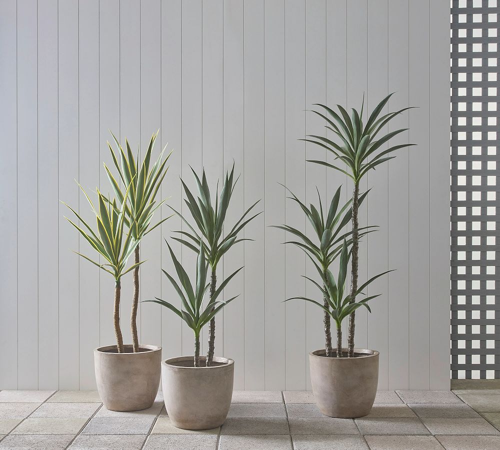 Faux Yucca Tree In Pot