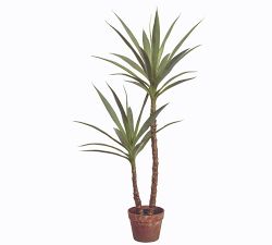 Faux Yucca Tree In Pot