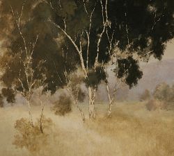 We Woke to a Dream By Aileen Fitzgerald