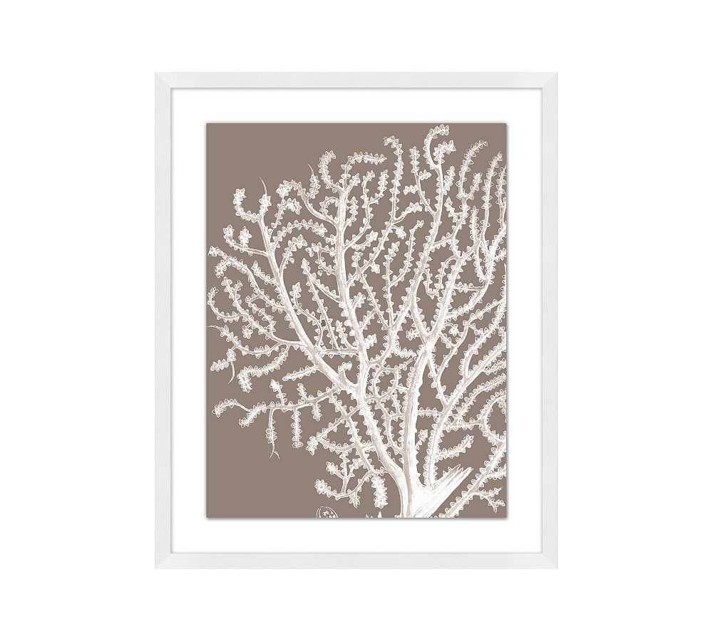 White Sea Fan On Tan Framed Print