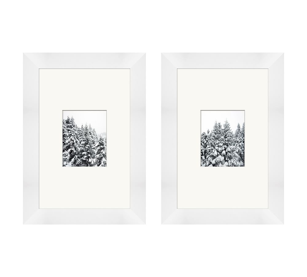 Snow Graced Pines Framed Prints