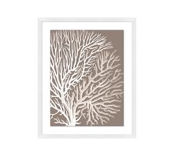 White Sea Fan On Tan Framed Print